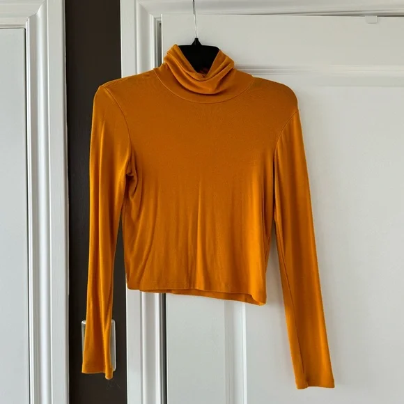 Zara gold turtleneck - Picture 1 of 1